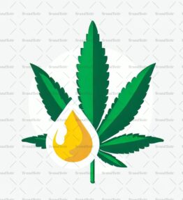 Cannabis Öl